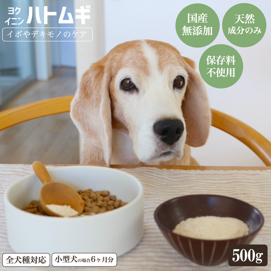 ハトムギ – 犬の幸せサリーとダリオ