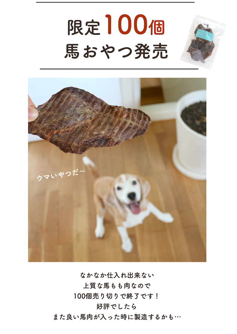 馬肉ジャーキー 60g