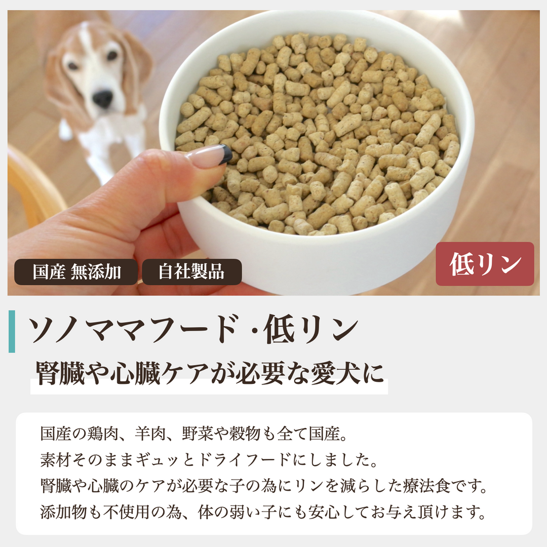 腎臓ケア ソノママ 低リンフード 大袋 – 犬の幸せサリーとダリオ