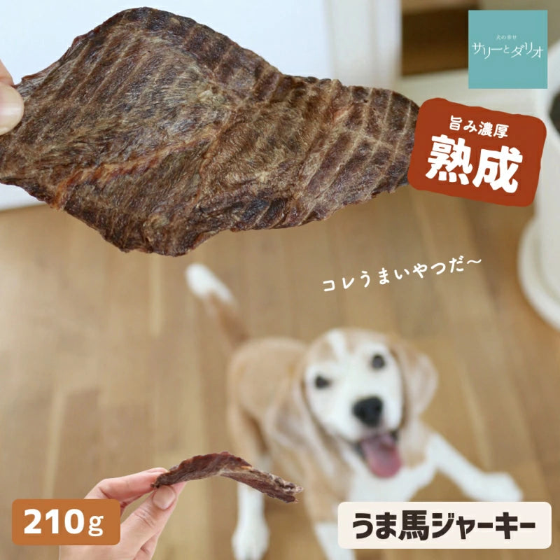 馬肉ジャーキー 210g