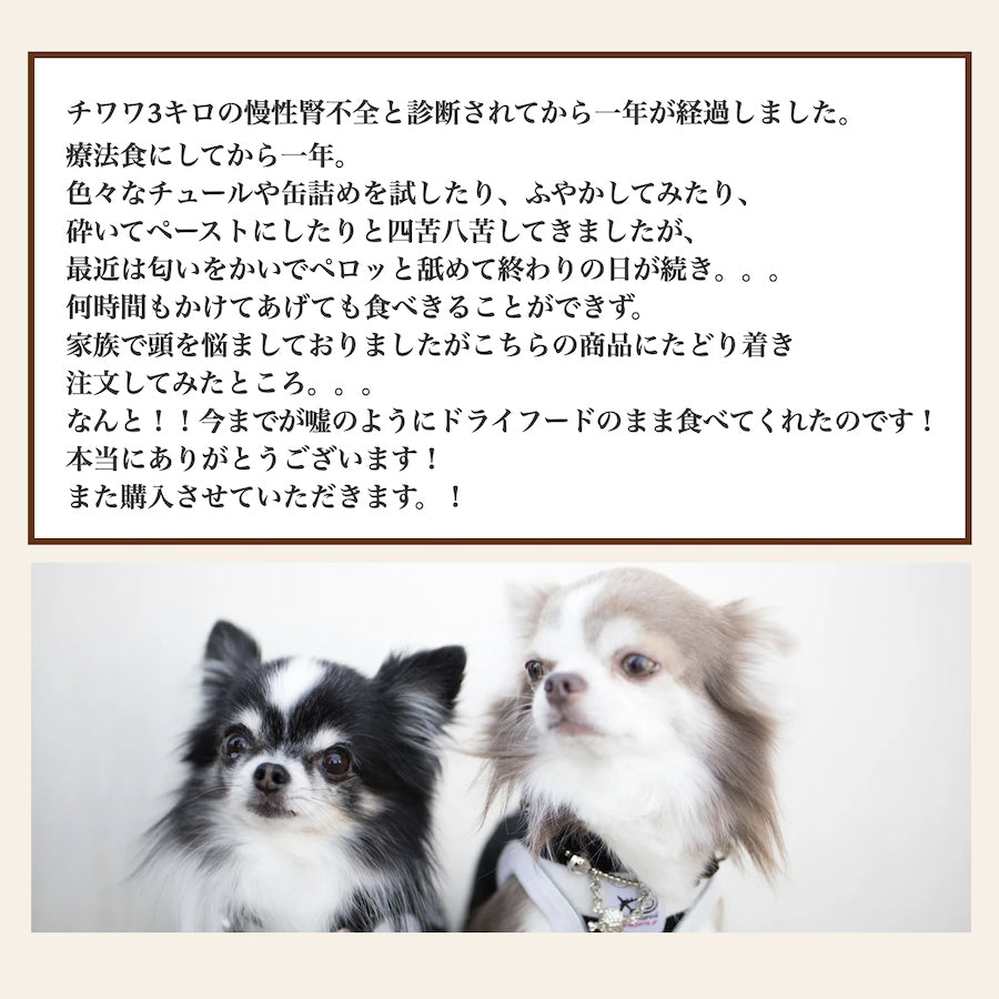 腎臓ケア ソノママ 低リン ドッグフード 中袋 – 犬の幸せ サリー