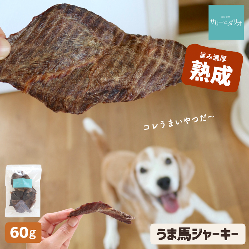 馬肉ジャーキー 60g