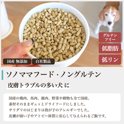 ソノママ ノングルテンフード 大袋