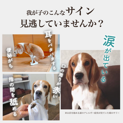 ソノママ ノングルテンフード 中袋