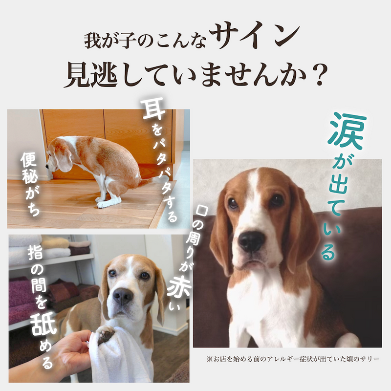 ソノママ ノングルテンフード 中袋