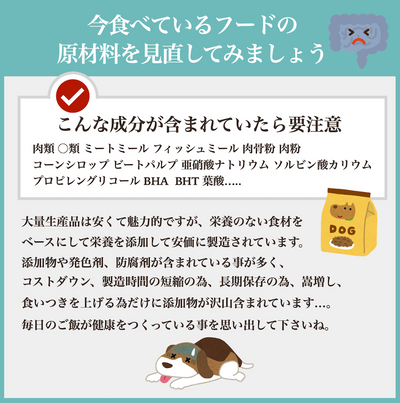 ソノママ ノングルテンフード 中袋