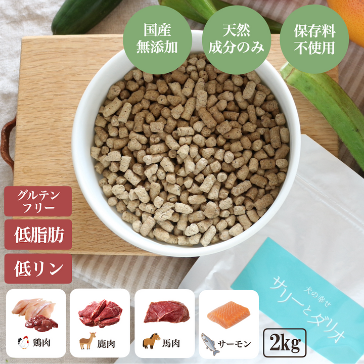 皮膚ケア アレルギーケア ソノママ ノングルテン ドッグフード 大袋