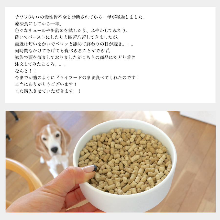 腎臓ケア ソノママ 低リンフード 大袋 – 犬の幸せサリーとダリオ
