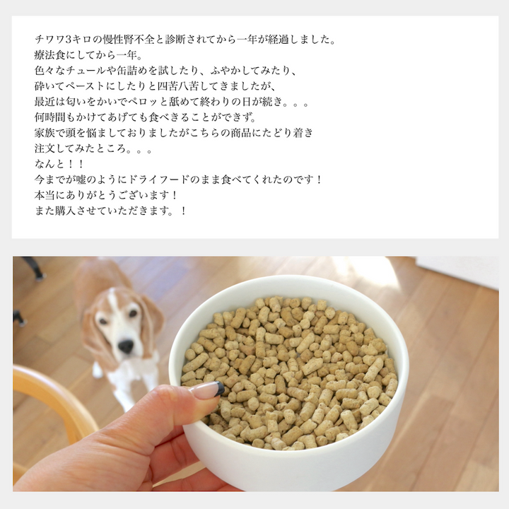 慢性腎不全用ドッグフード　3キロ　小粒 POCHI（ポチ） 食事療法食 腎臓ケア フレッシュチキン 3kg