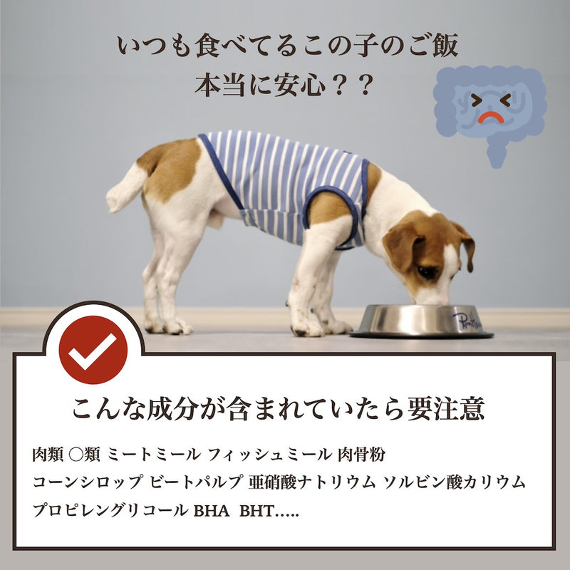 ソノママ オリジナル 総合栄養食フード 中袋