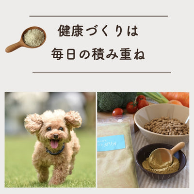 緑黄色野菜ビタミンサプリ 250g