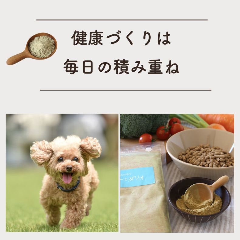 緑黄色野菜ビタミンサプリ 250g