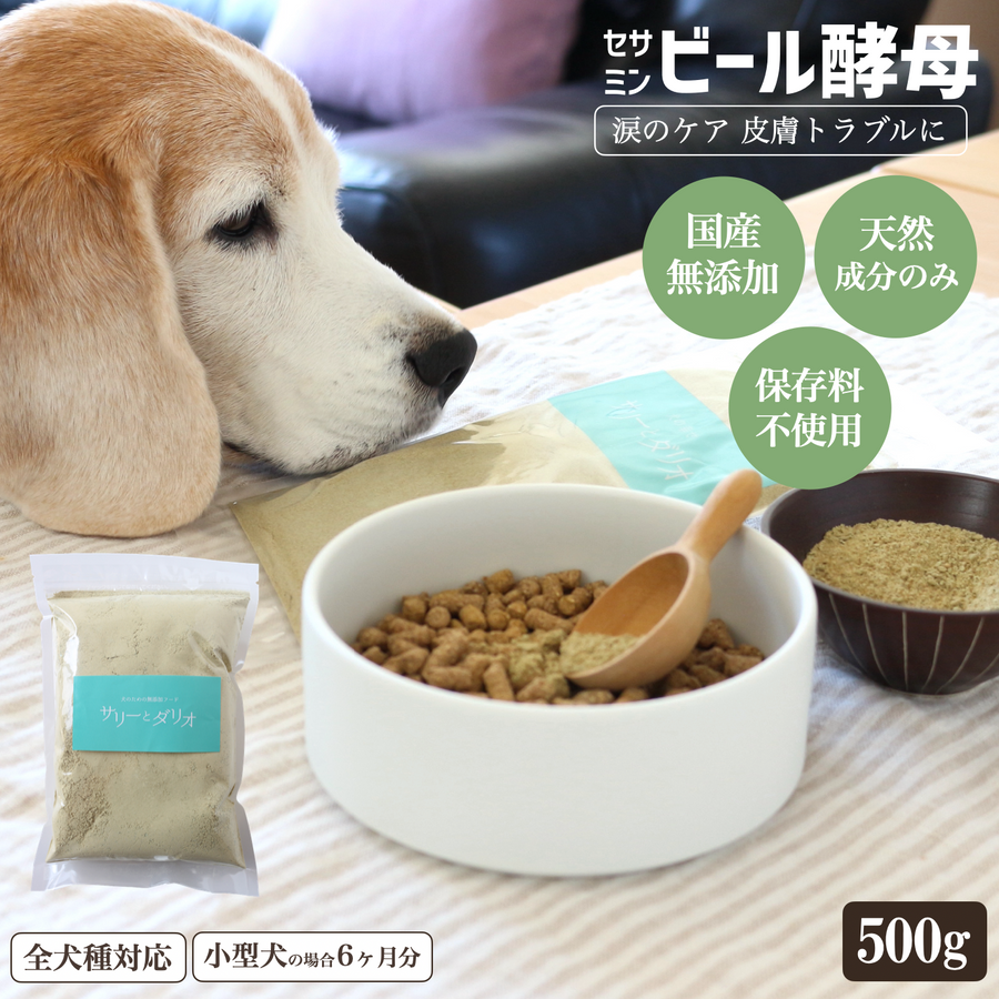 大袋 – 犬の幸せサリーとダリオ