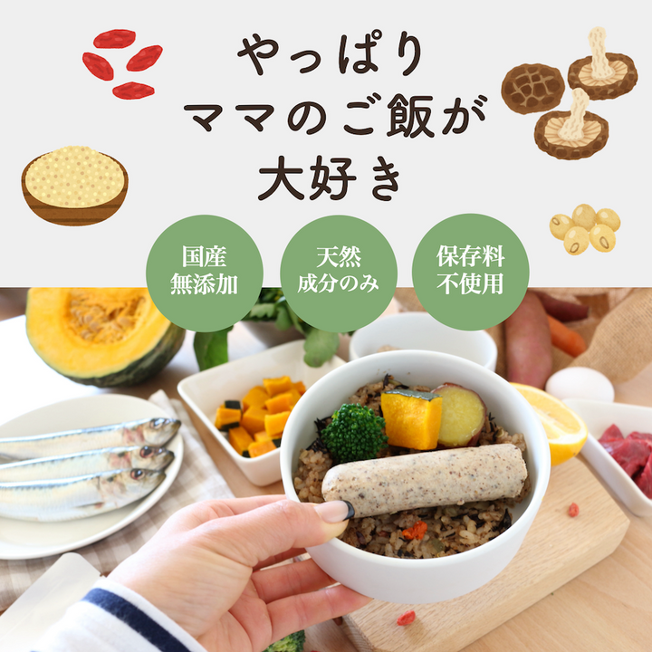 犬の幸せ サリーとダリオ 薬膳ごはんの素 400g✖️2 薬膳ごはんの素 400g – 犬の幸せサリーとダリオ