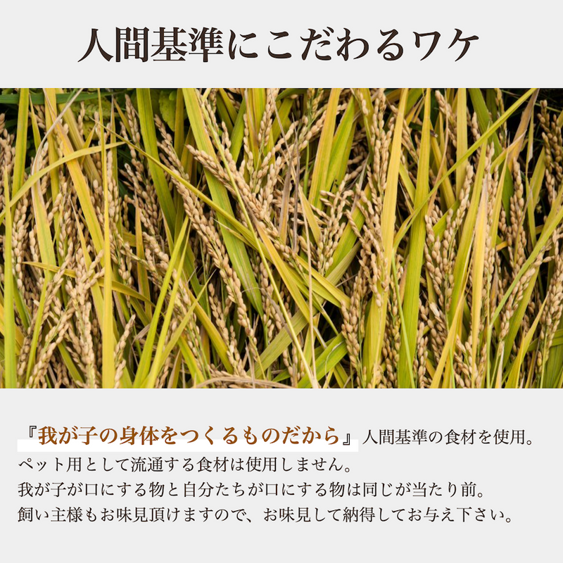 薬膳ごはんの素 400g×4袋