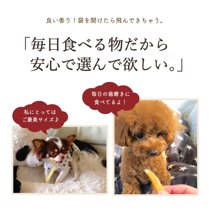 とびきり笑顔の 柴犬さんと スマイリー革タグの サージカルステンレス 